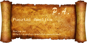 Pusztai Amelita névjegykártya